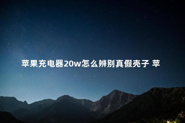 苹果充电器20w怎么辨别真假壳子 苹果充电器5w和20w有什么区别